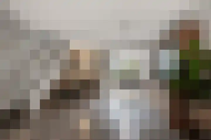 Agavestraat 11 Krommenie thumbnail 9
