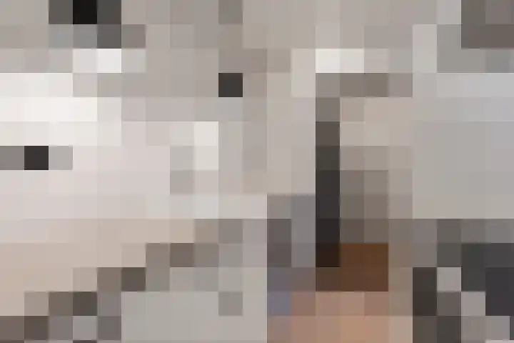 Agavestraat 13 Almere thumbnail 19