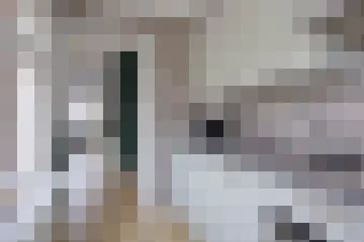 Agavestraat 14 Krommenie thumbnail 10