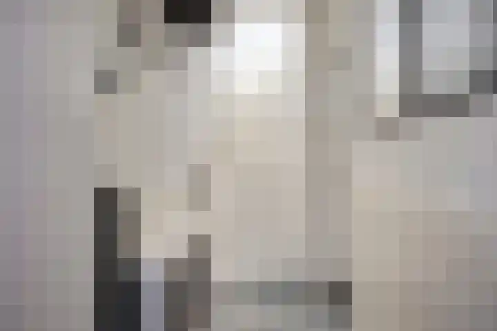 Agavestraat 14 Krommenie thumbnail 12