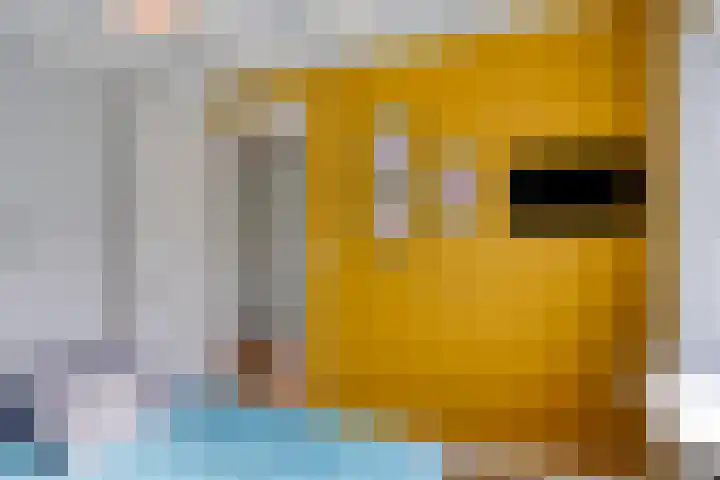 Agavestraat 14 Krommenie thumbnail 14