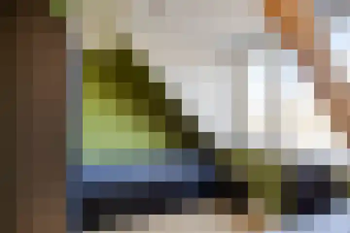 Agavestraat 14 Krommenie thumbnail 21