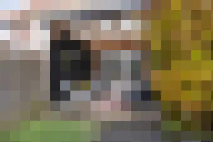 Agavestraat 14 Krommenie thumbnail 26