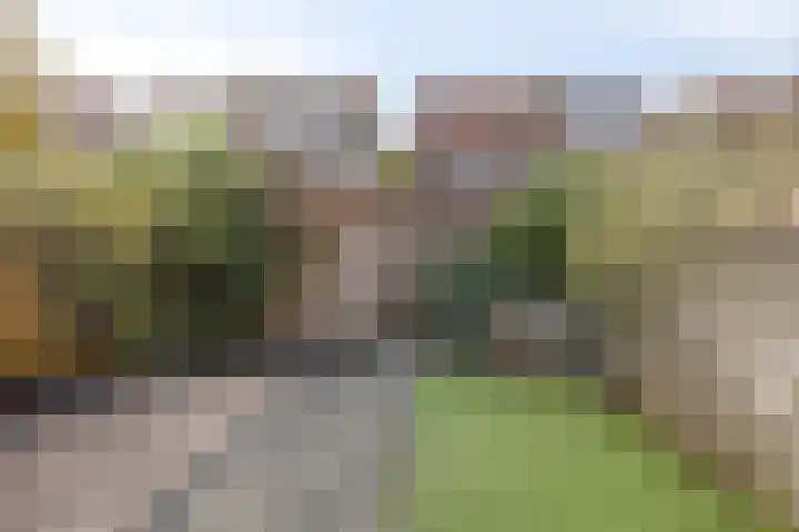 Agavestraat 14 Krommenie thumbnail 27