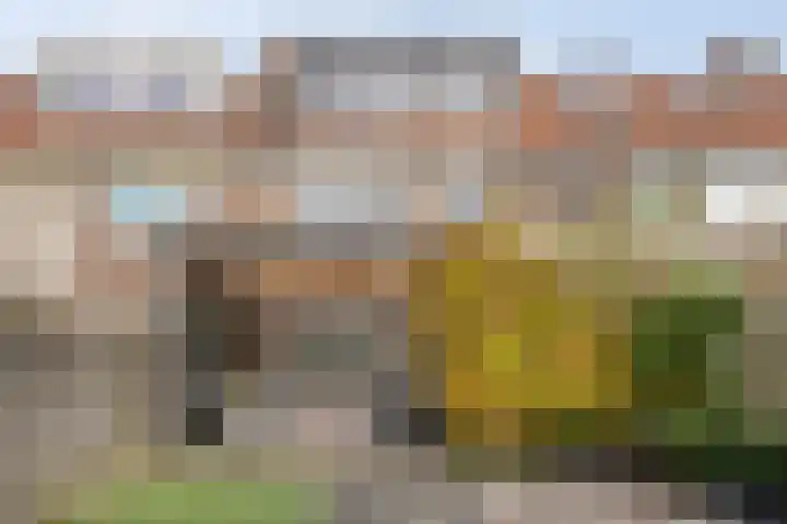 Agavestraat 14 Krommenie thumbnail 29