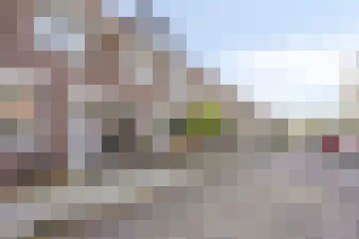 Agavestraat 14 Krommenie thumbnail 30