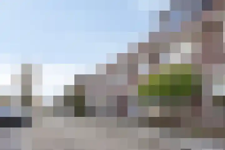Agavestraat 14 Krommenie thumbnail 31
