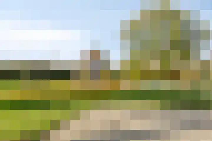 Agavestraat 14 Krommenie thumbnail 32