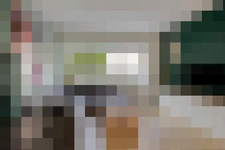 Agavestraat 14 Krommenie thumbnail 5