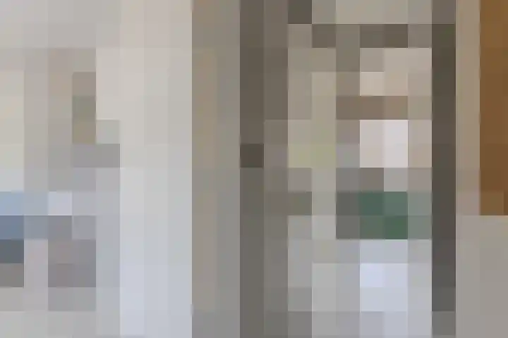 Agavestraat 27 Krommenie thumbnail 15