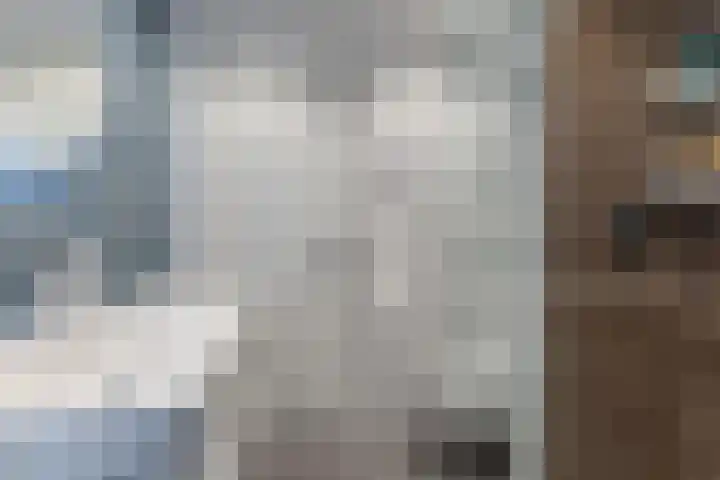 Agavestraat 27 Krommenie thumbnail 16