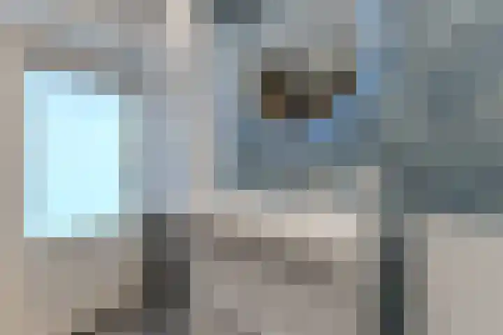 Agavestraat 27 Krommenie thumbnail 18