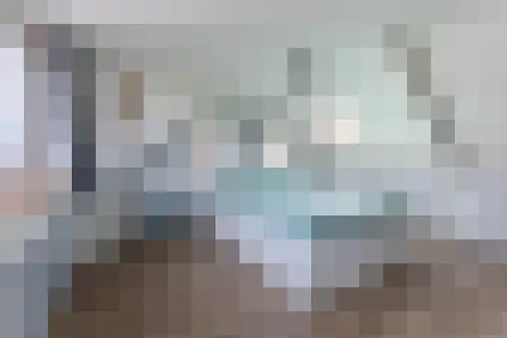 Agavestraat 27 Krommenie thumbnail 25