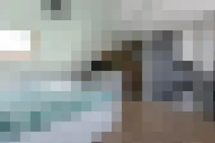 Agavestraat 27 Krommenie thumbnail 26