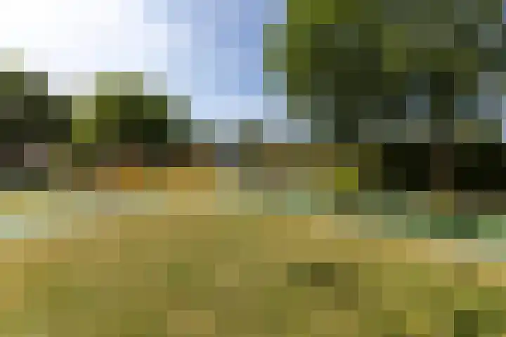 Agavestraat 27 Krommenie thumbnail 28