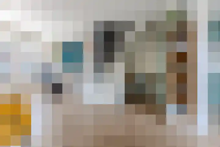 Agavestraat 27 Krommenie thumbnail 5