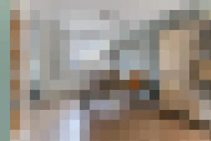 Agavestraat 27 Krommenie thumbnail 7