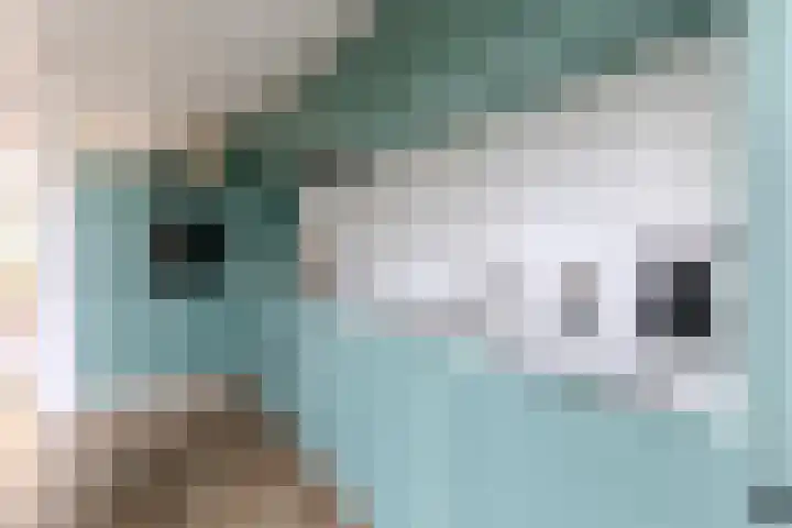 Agavestraat 27 Krommenie thumbnail 9