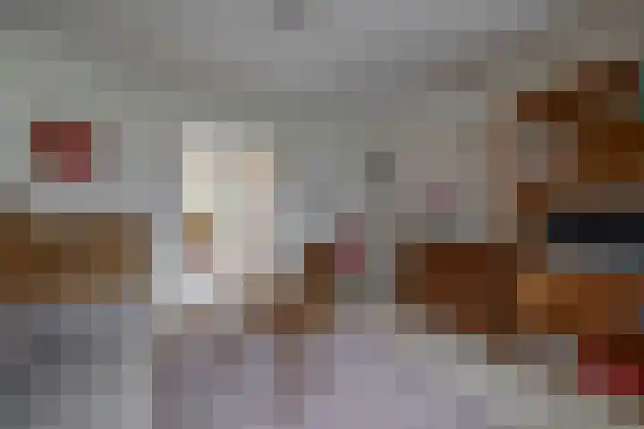 Agavestraat 4 Krommenie thumbnail 13