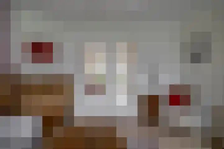 Agavestraat 4 Krommenie thumbnail 14
