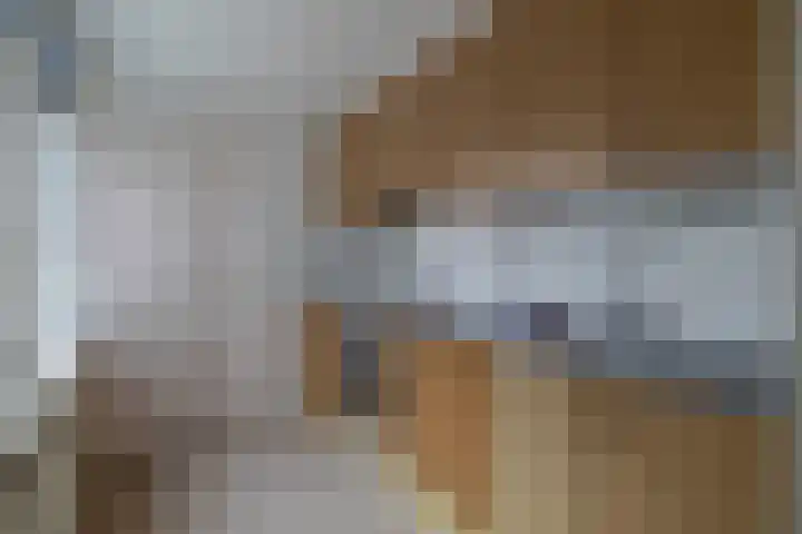 Agavestraat 4 Krommenie thumbnail 15