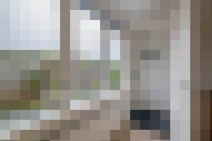 Agavestraat 4 Krommenie thumbnail 18