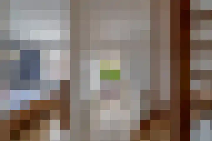 Agavestraat 4 Krommenie thumbnail 21