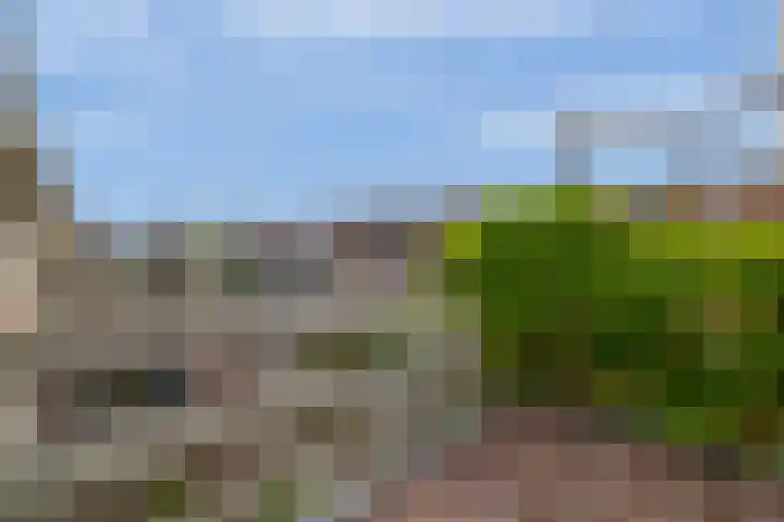 Agavestraat 4 Krommenie thumbnail 28