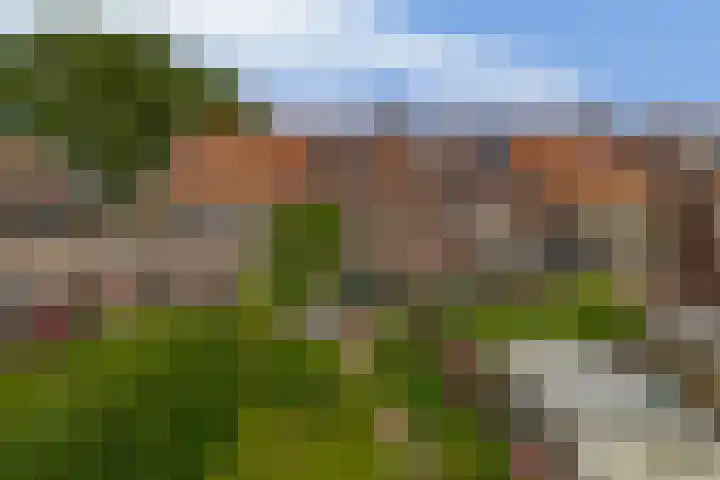 Agavestraat 4 Krommenie thumbnail 35