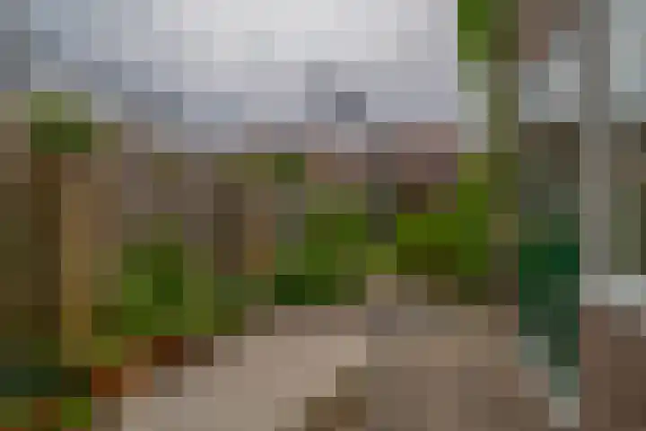 Agavestraat 4 Krommenie thumbnail 36
