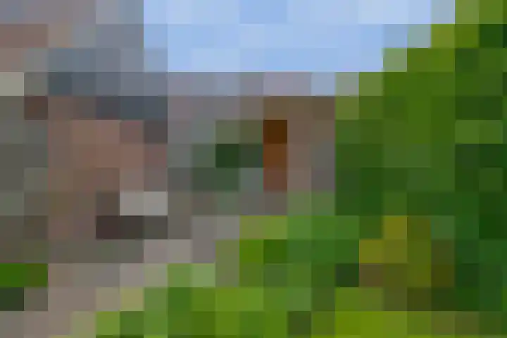 Agavestraat 4 Krommenie thumbnail 38