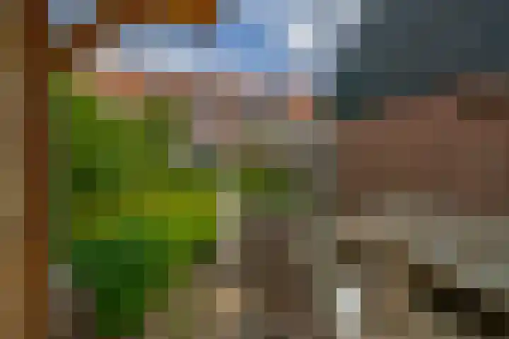 Agavestraat 4 Krommenie thumbnail 39