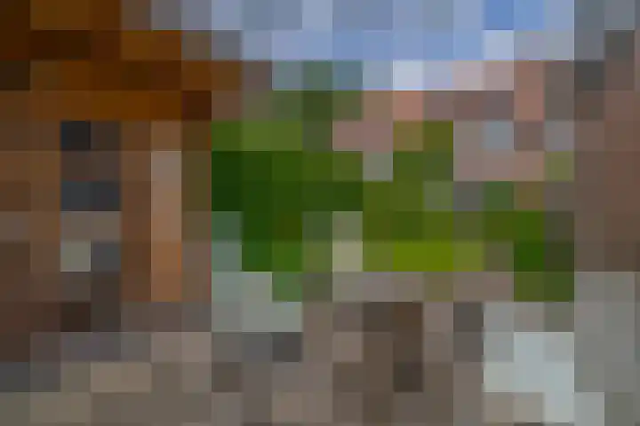 Agavestraat 4 Krommenie thumbnail 4