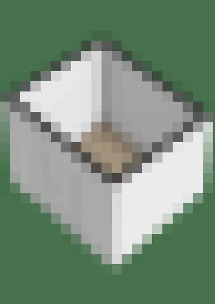 Agavestraat 4 Krommenie thumbnail 44