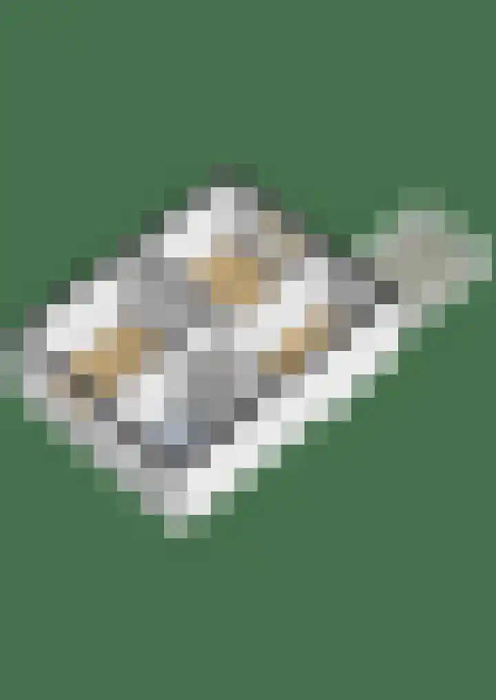 Agavestraat 4 Krommenie thumbnail 46