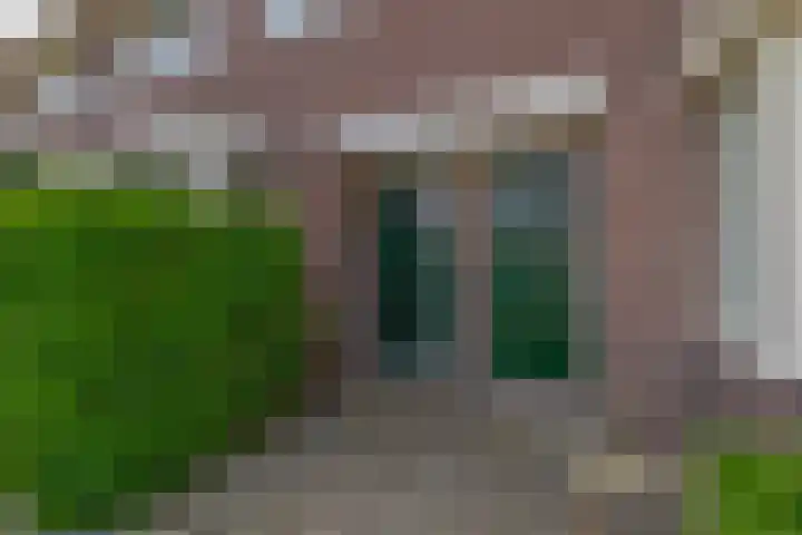 Agavestraat 4 Krommenie thumbnail 7