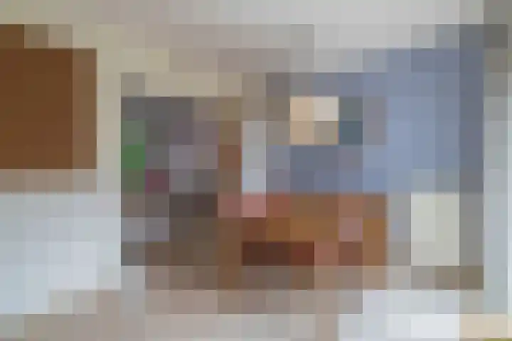Agavestraat 4 Krommenie thumbnail 9