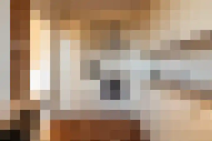 Age Hylkes Trompstrjitte 13 Woudsend thumbnail 12