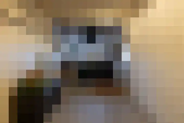 Age Hylkes Trompstrjitte 13 Woudsend thumbnail 17