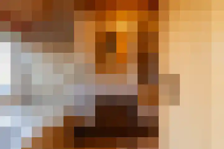 Age Hylkes Trompstrjitte 13 Woudsend thumbnail 22