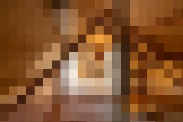 Age Hylkes Trompstrjitte 13 Woudsend thumbnail 32