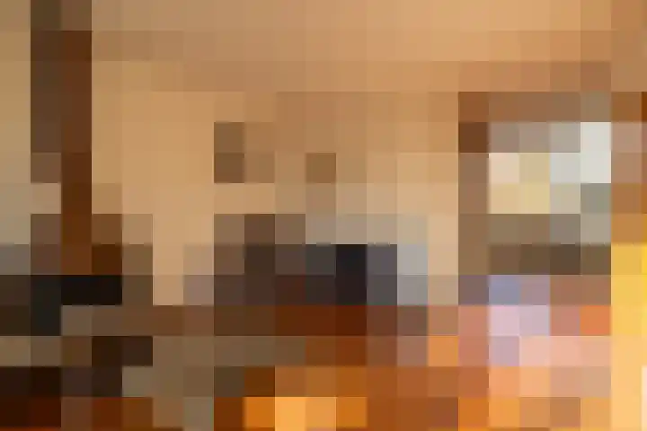 Age Hylkes Trompstrjitte 13 Woudsend thumbnail 5