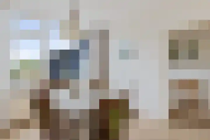 Age Hylkes Trompstrjitte 15 Woudsend thumbnail 10
