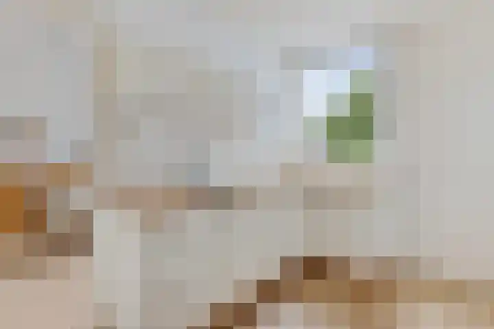 Age Hylkes Trompstrjitte 15 Woudsend thumbnail 11