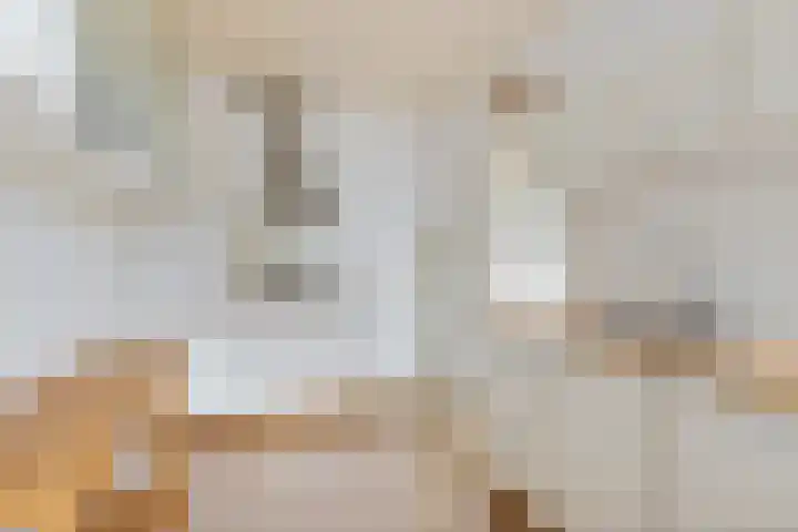 Age Hylkes Trompstrjitte 15 Woudsend thumbnail 12