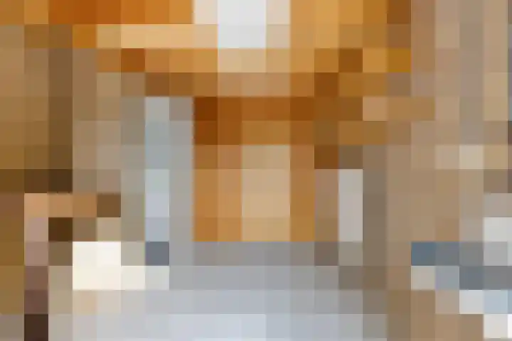 Age Hylkes Trompstrjitte 15 Woudsend thumbnail 17