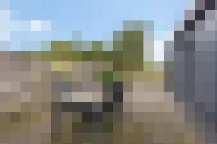 Age Hylkes Trompstrjitte 15 Woudsend thumbnail 32