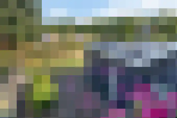 Age Hylkes Trompstrjitte 15 Woudsend thumbnail 34