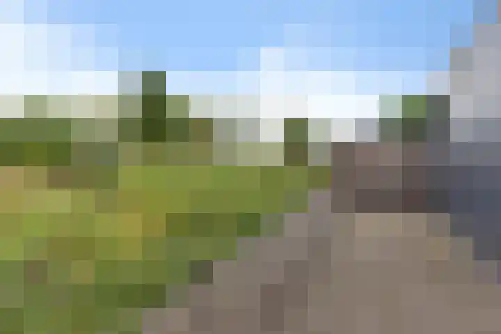Age Hylkes Trompstrjitte 15 Woudsend thumbnail 35