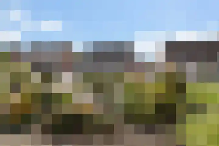 Age Hylkes Trompstrjitte 15 Woudsend thumbnail 38